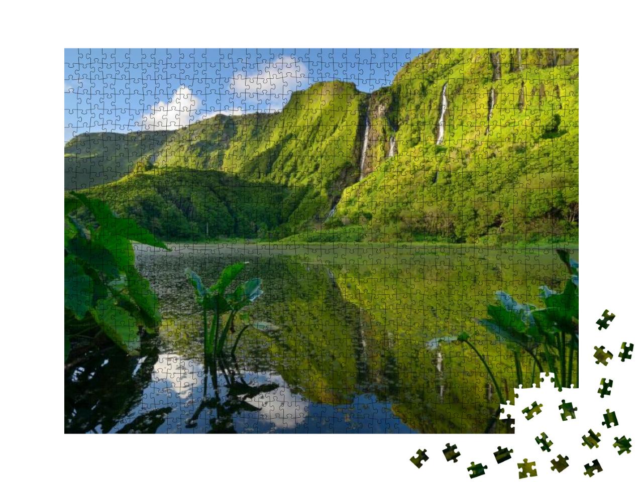 Lush Forest in the Poco Da Alagoinha, Flores Island, Azor... Jigsaw Puzzle with 1000 pieces