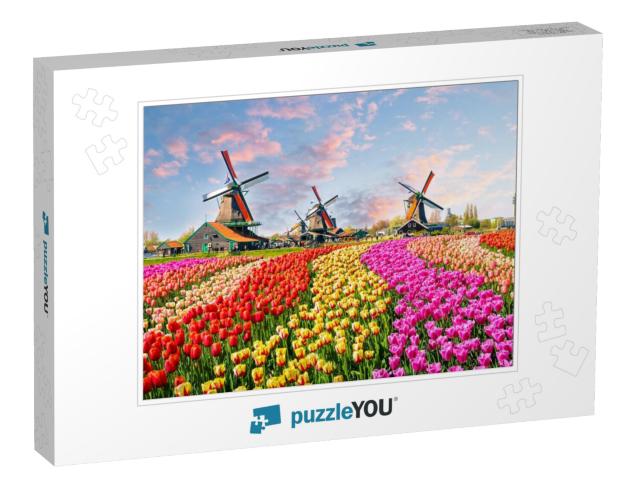 Landscape with Tulips, Traditional Dutch Windmills & Hous... Jigsaw Puzzle