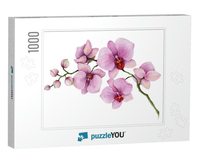 Watercolor Orchid Branch, Hand Drawn Floral Illustration... Jigsaw Puzzle with 1000 pieces