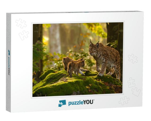 Young Lynxes... Jigsaw Puzzle