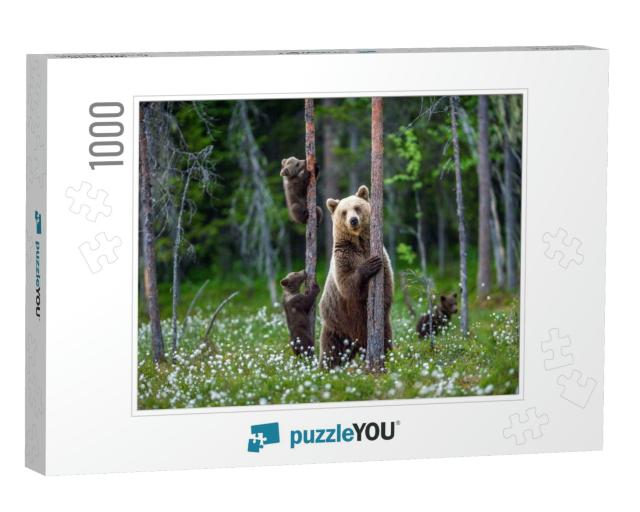 She-Bear & Bear Cubs in the Summer Forest on the Bog Amon... Jigsaw Puzzle with 1000 pieces