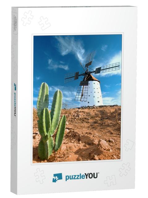 Cactus & Traditional Windmill on Fuerteventura, Canary Is... Jigsaw Puzzle