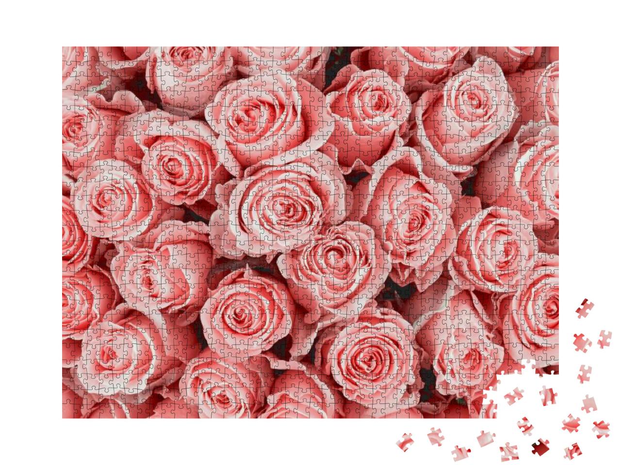 Rose Background. Colorful Rose Wall Background... Jigsaw Puzzle with 1000 pieces