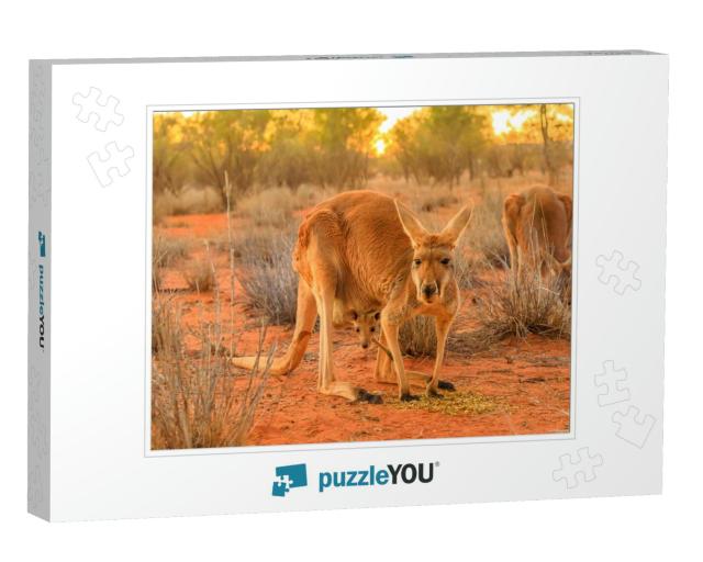 Red Female Kangaroo with a Joey in a Pocket, Macropus Ruf... Jigsaw Puzzle