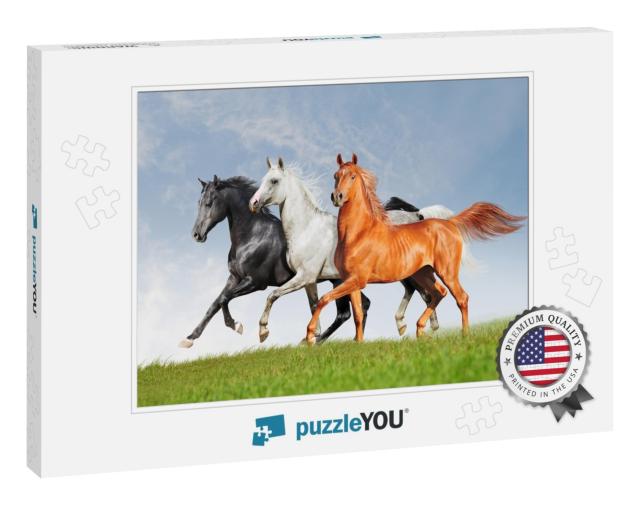 Three Arab Horse Runs Free... Jigsaw Puzzle