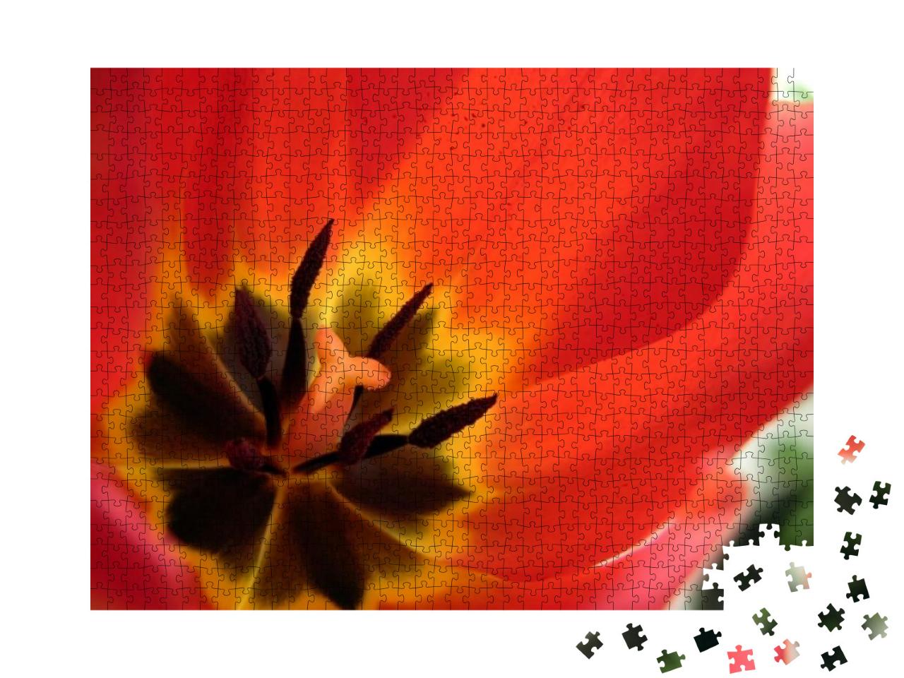 Tulip from the Inside. Tulip Soul. Background. Macro Phot... Jigsaw Puzzle with 1000 pieces