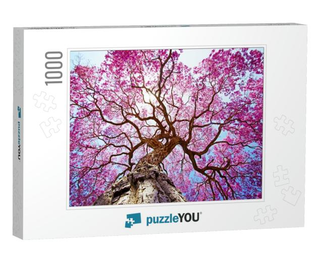 Pink Lapacho Tree At Sun's Back Light. Transpantaneira Ro... Jigsaw Puzzle with 1000 pieces