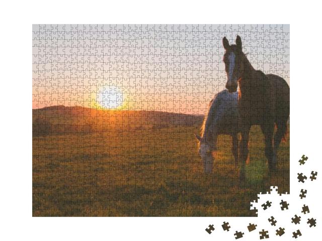 Alone Horse on Meadow in Sunset... Jigsaw Puzzle with 1000 pieces
