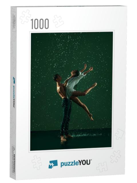 Beauty & Grace. Two Ballet Dancers, Young Man & Woman in... Jigsaw Puzzle with 1000 pieces