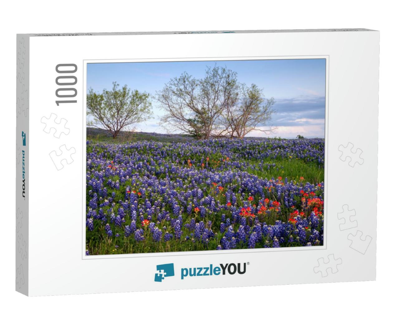 Bluebonnet Filled Meadow on the Ennis Bluebonnet Trail in... Jigsaw Puzzle with 1000 pieces