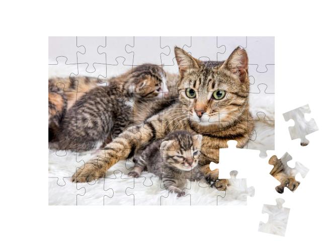 Mom Mother Cat & Baby Cat Kitten... Jigsaw Puzzle with 48 pieces