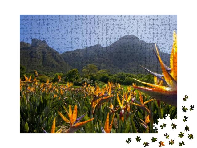 Strelitzia Flowers At Kirstenbosch Gardens... Jigsaw Puzzle with 1000 pieces