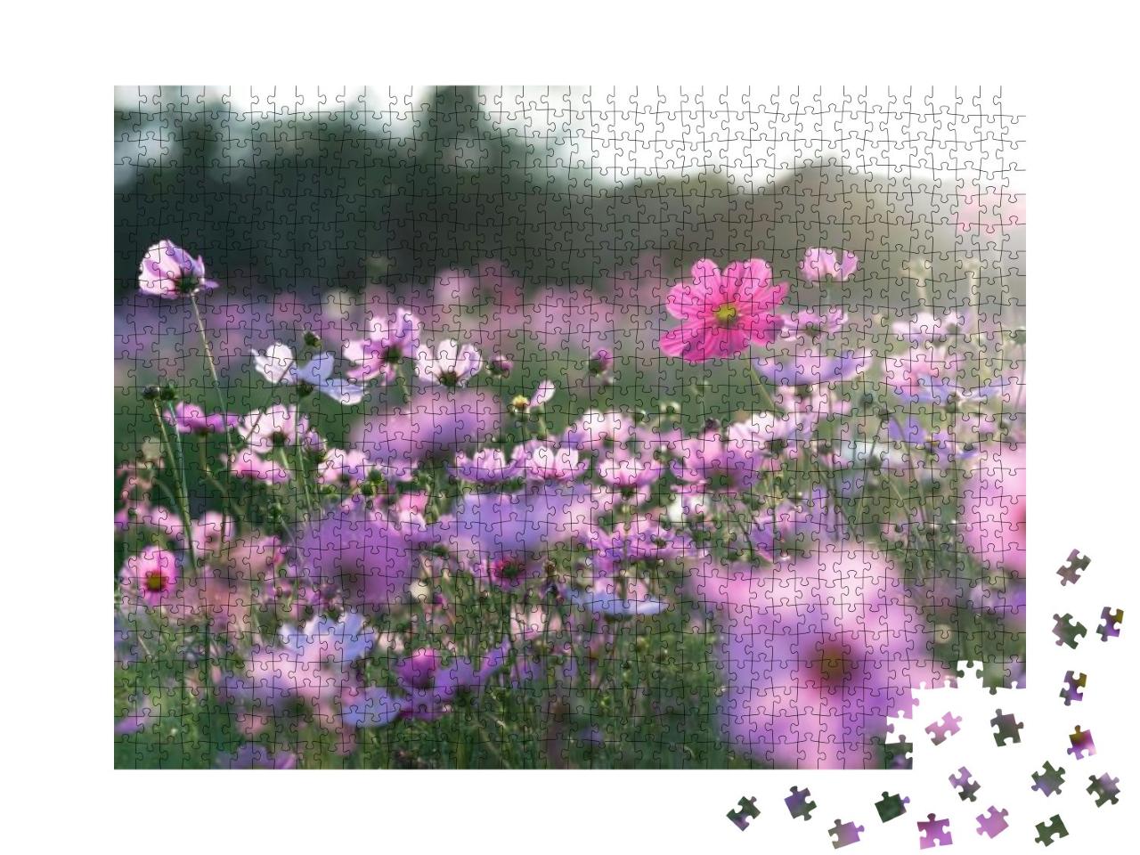 Field of Cosmos Flower... Jigsaw Puzzle with 1000 pieces