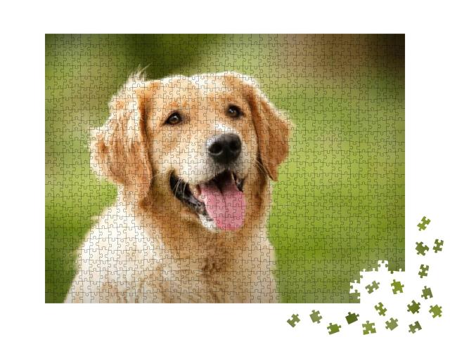 Head Shot of Golden Retriever Looking Very Interested... Jigsaw Puzzle with 1000 pieces