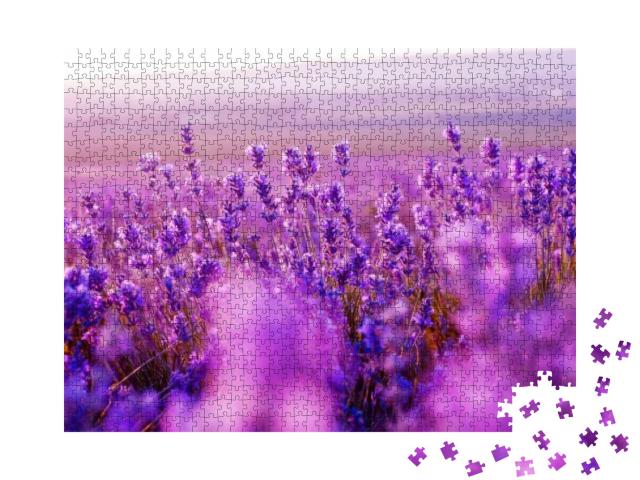 Lavender Field in the Summer... Jigsaw Puzzle with 1000 pieces