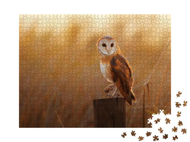 A Beautiful Barn Owl Perched on a Tree Stump... Jigsaw Puzzle with 1000 pieces