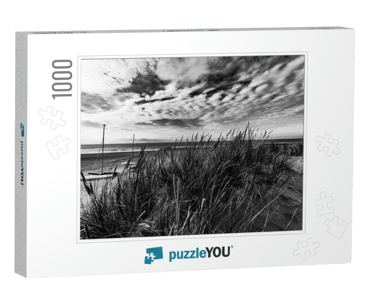 A Grayscale Shot of Sandy Path with Surrounding Greenery... Jigsaw Puzzle with 1000 pieces