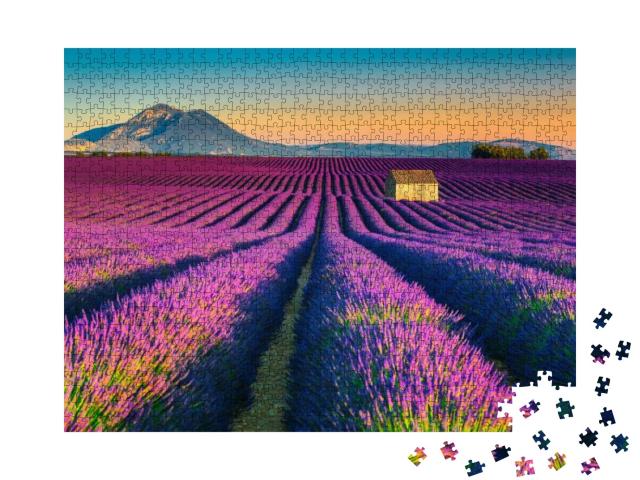 Majestic Colorful Lavender Fields Near Valensole Touristi... Jigsaw Puzzle with 1000 pieces