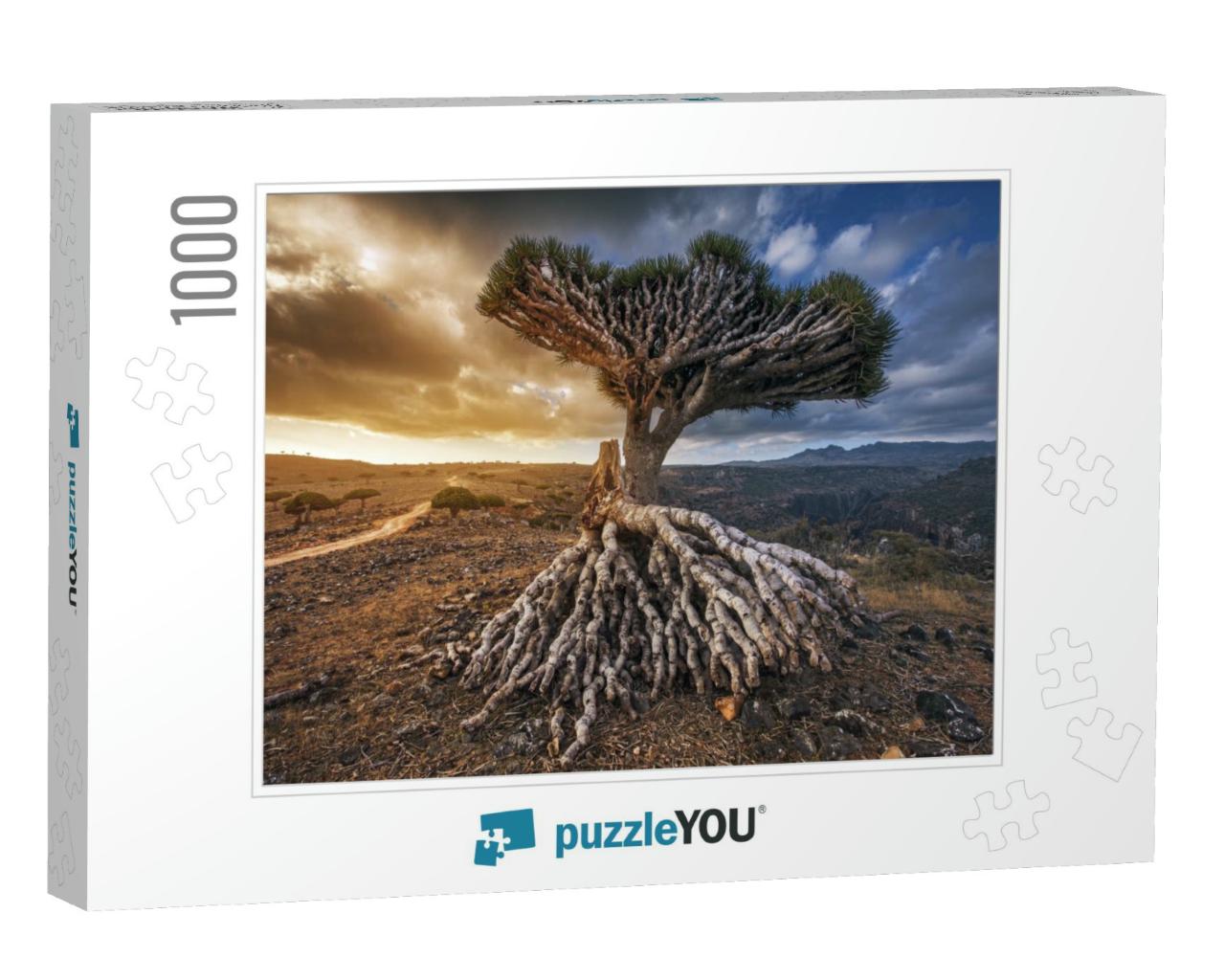 Dragon Trees At Dixam Plateau, Socotra Island, Yemen... Jigsaw Puzzle with 1000 pieces