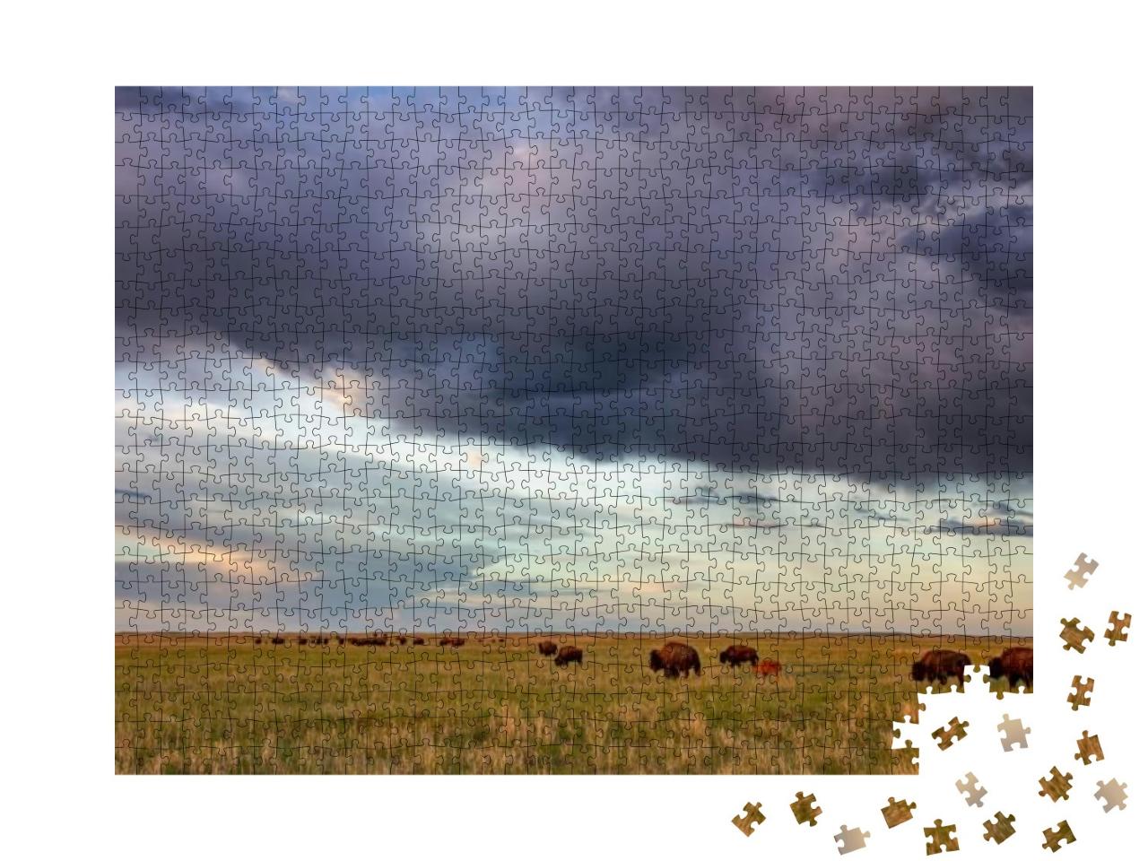 Bison Herd with Calves At Sunrise At Fort Niobrara Nation... Jigsaw Puzzle with 1000 pieces