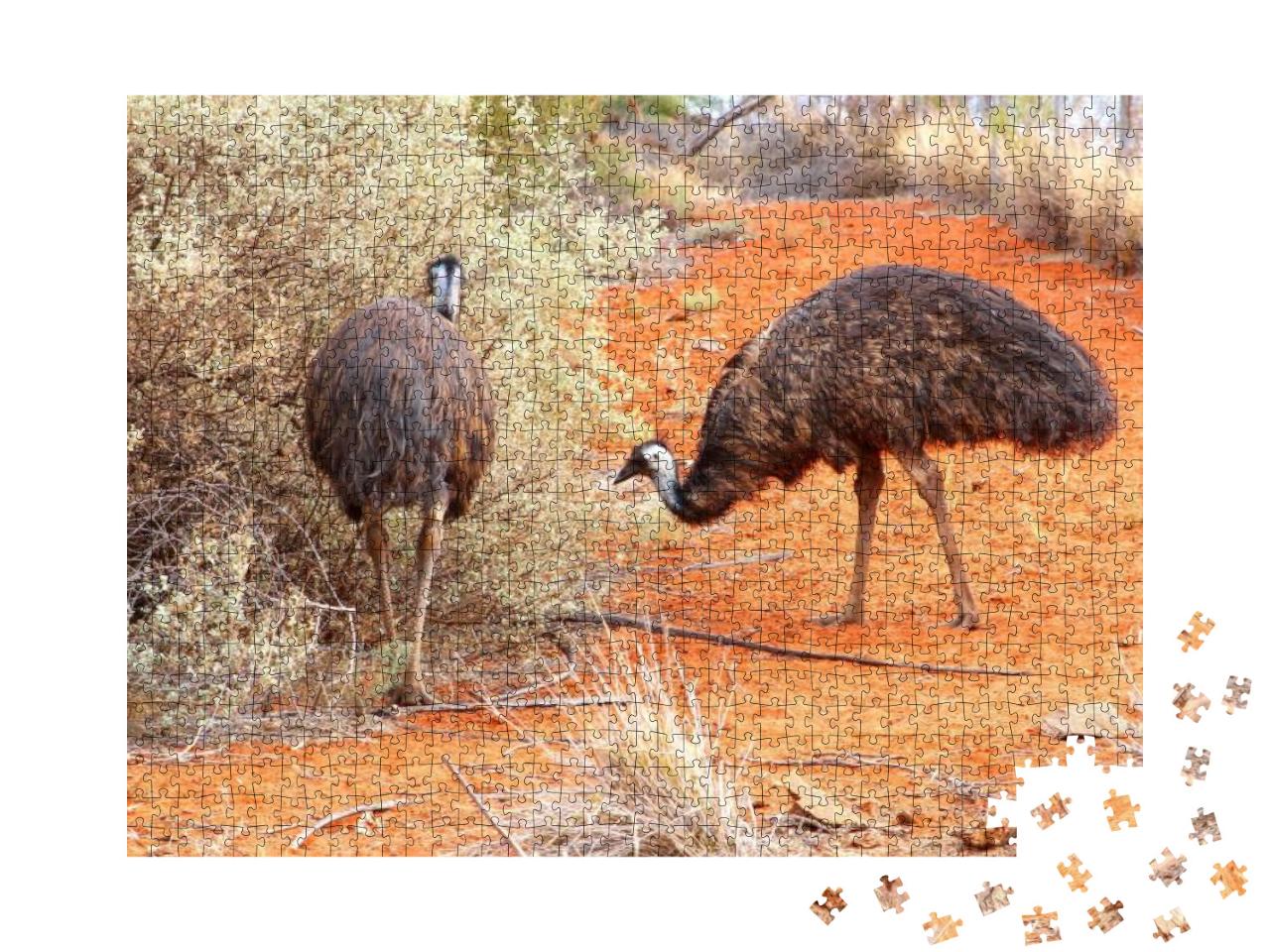 Couple of Emus in Red Desert Near Uluru Ayers Rock, Austr... Jigsaw Puzzle with 1000 pieces
