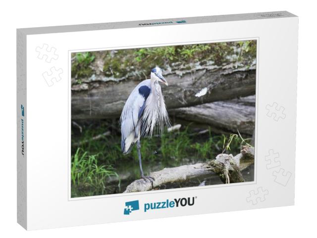 Balancing Blue Heron Jigsaw Puzzle