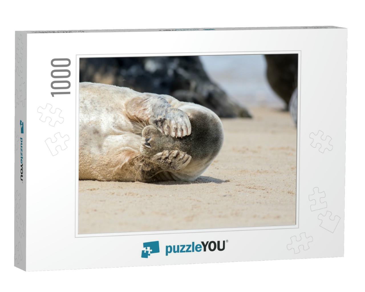 Peekaboo. Cute Seal Covering Its Eyes. Funny Animal Meme... Jigsaw Puzzle with 1000 pieces
