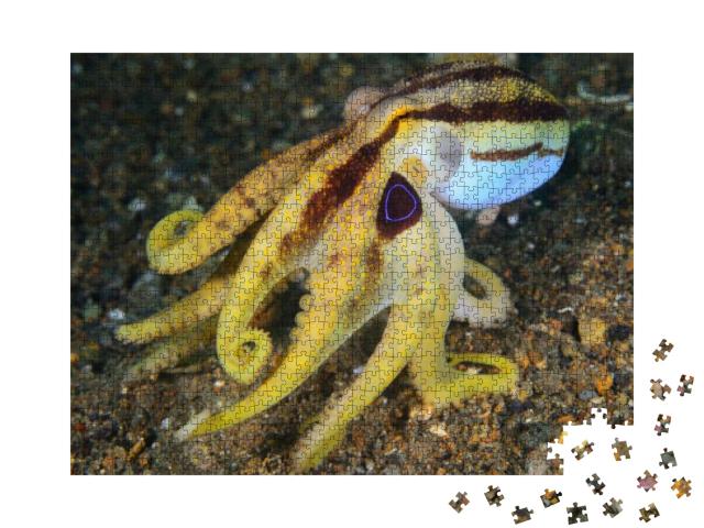 Poison Ocellate Octopus or Mototi Octopus Amphioctopus Si... Jigsaw Puzzle with 1000 pieces