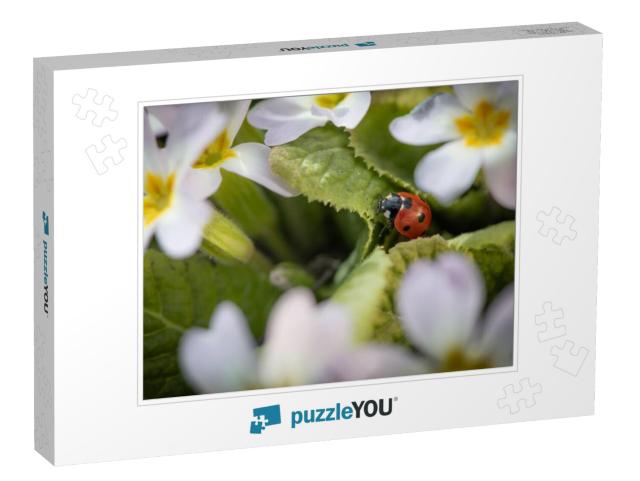 Red Ladybug Among Flowers in Spring... Jigsaw Puzzle