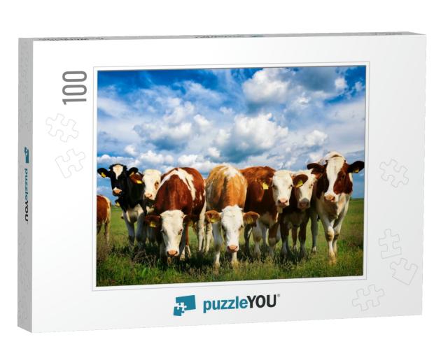 Cows on a Green Summer Meadow... Jigsaw Puzzle with 100 pieces