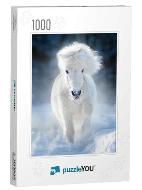 White Fluffy Shetland Pony Runs Free in Winter Meadow... Jigsaw Puzzle with 1000 pieces