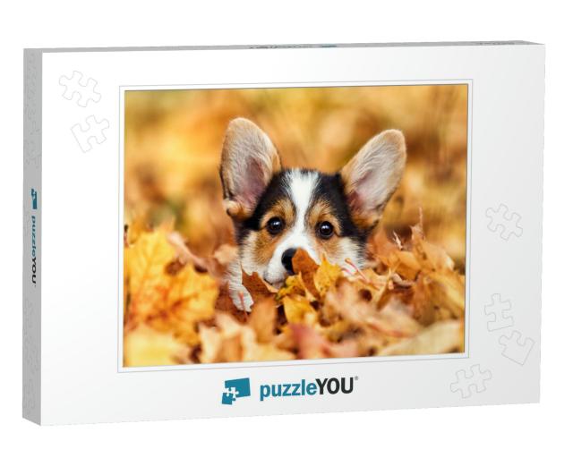 Welsh Corgi Puppy in Autumn Leaves... Jigsaw Puzzle