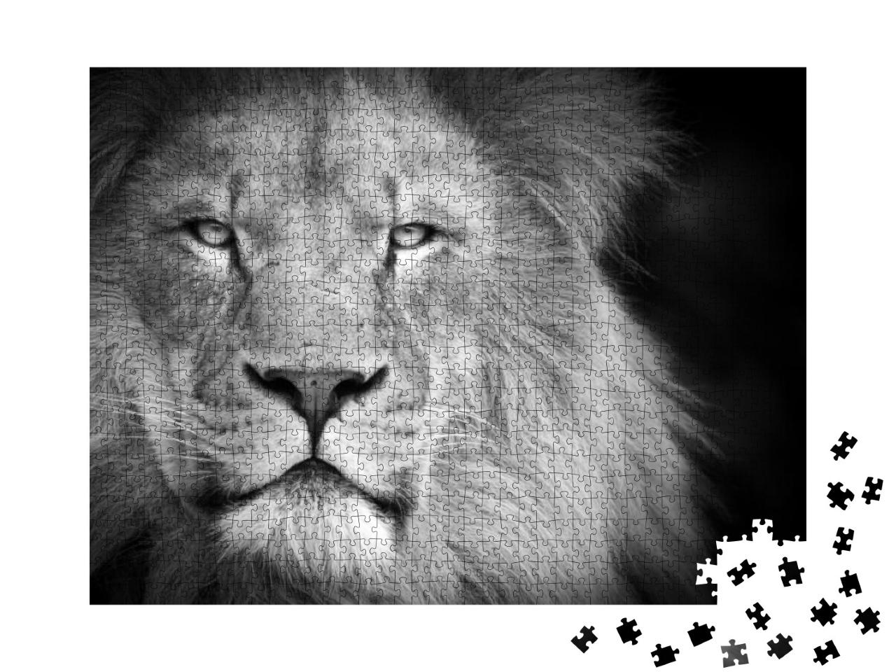 Portrait of a Lion... Jigsaw Puzzle with 1000 pieces