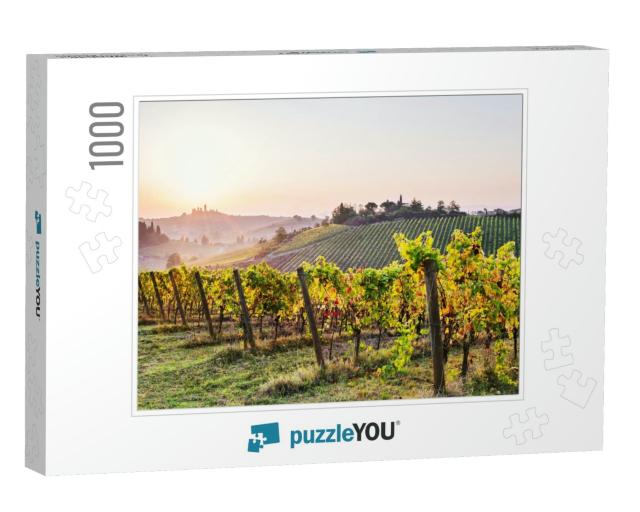 Beautiful Valley in Tuscany, Italy. Vineyards & Landscape... Jigsaw Puzzle with 1000 pieces