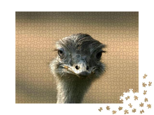 Head of Ostrich on Clear Sky. Ostrich Beak. Portrait from... Jigsaw Puzzle with 1000 pieces