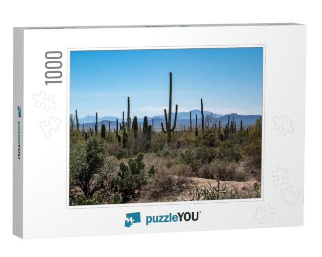 A Long Slender Saguaro Cactus in Saguaro National Park, A... Jigsaw Puzzle with 1000 pieces