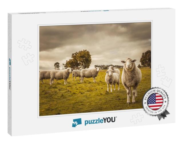 Australian Countryside Rural Autumn Landscape. Group of S... Jigsaw Puzzle