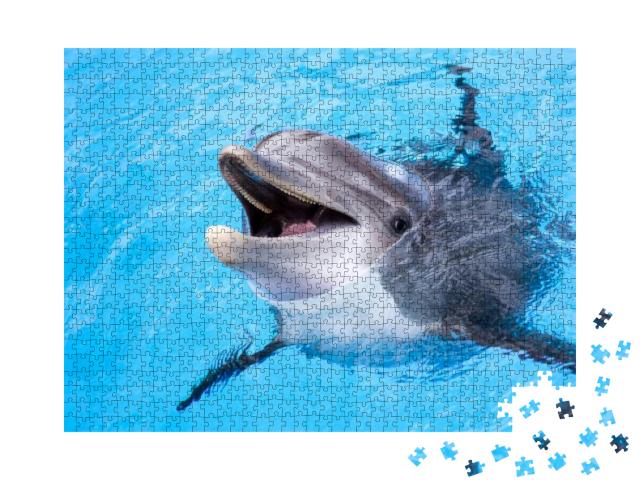 Dolphin... Jigsaw Puzzle with 1000 pieces