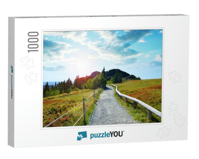 Autumn Landscape in National Park Bayerischer Wald At Sun... Jigsaw Puzzle with 1000 pieces