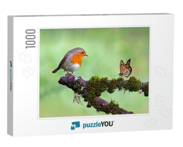 Beautiful Background Image of a Wild Robin Erithacus Rube... Jigsaw Puzzle with 1000 pieces
