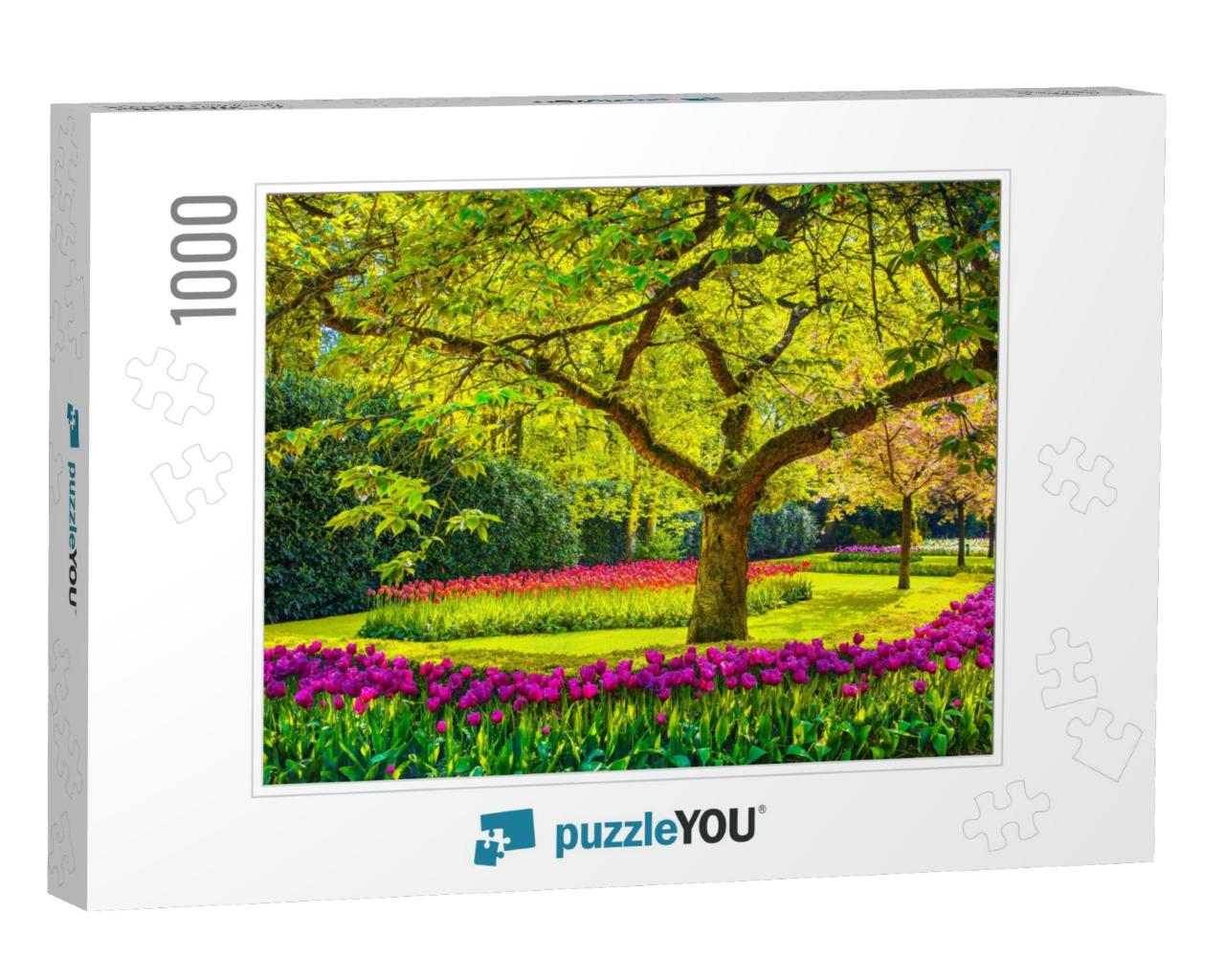 Tree & Red Tulip Flowers in Spring Garden. Keukenhof, Net... Jigsaw Puzzle with 1000 pieces