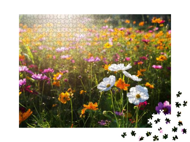 Cosmos Flower Field in the Morning... Jigsaw Puzzle with 1000 pieces