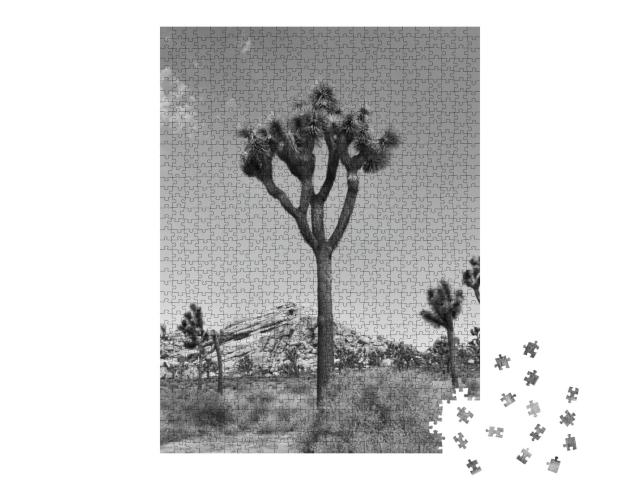 Joshua Tree Close Up in Black & White At Joshua Tree Nati... Jigsaw Puzzle with 1000 pieces