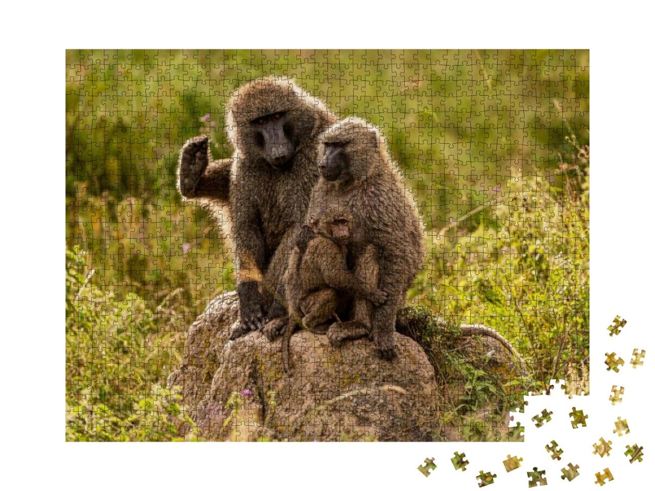 The Olive Baboon Papio Anubis, Also Called the Anubis Bab... Jigsaw Puzzle with 1000 pieces