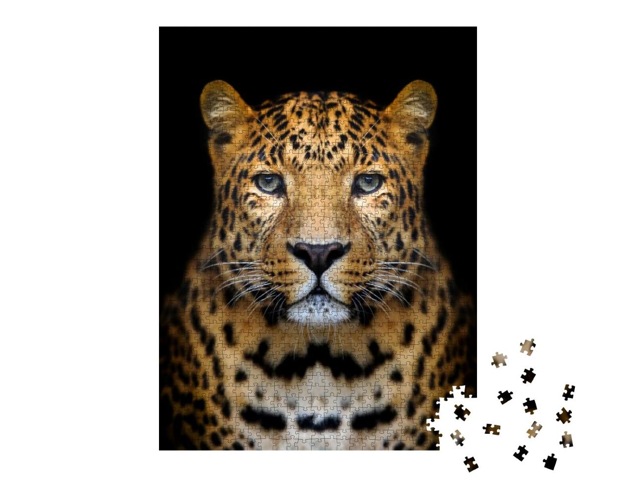Close-Up Leopard Portrait on Dark Background... Jigsaw Puzzle with 1000 pieces