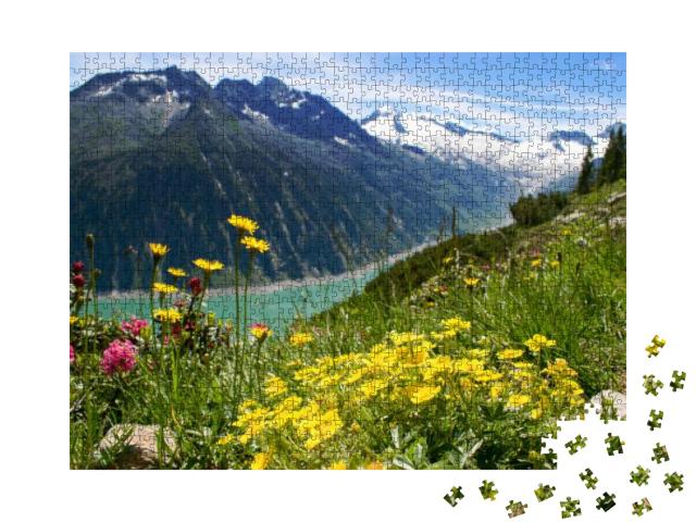 Mountain Pasture in Zillertal Area, Austria with Blooming... Jigsaw Puzzle with 1000 pieces