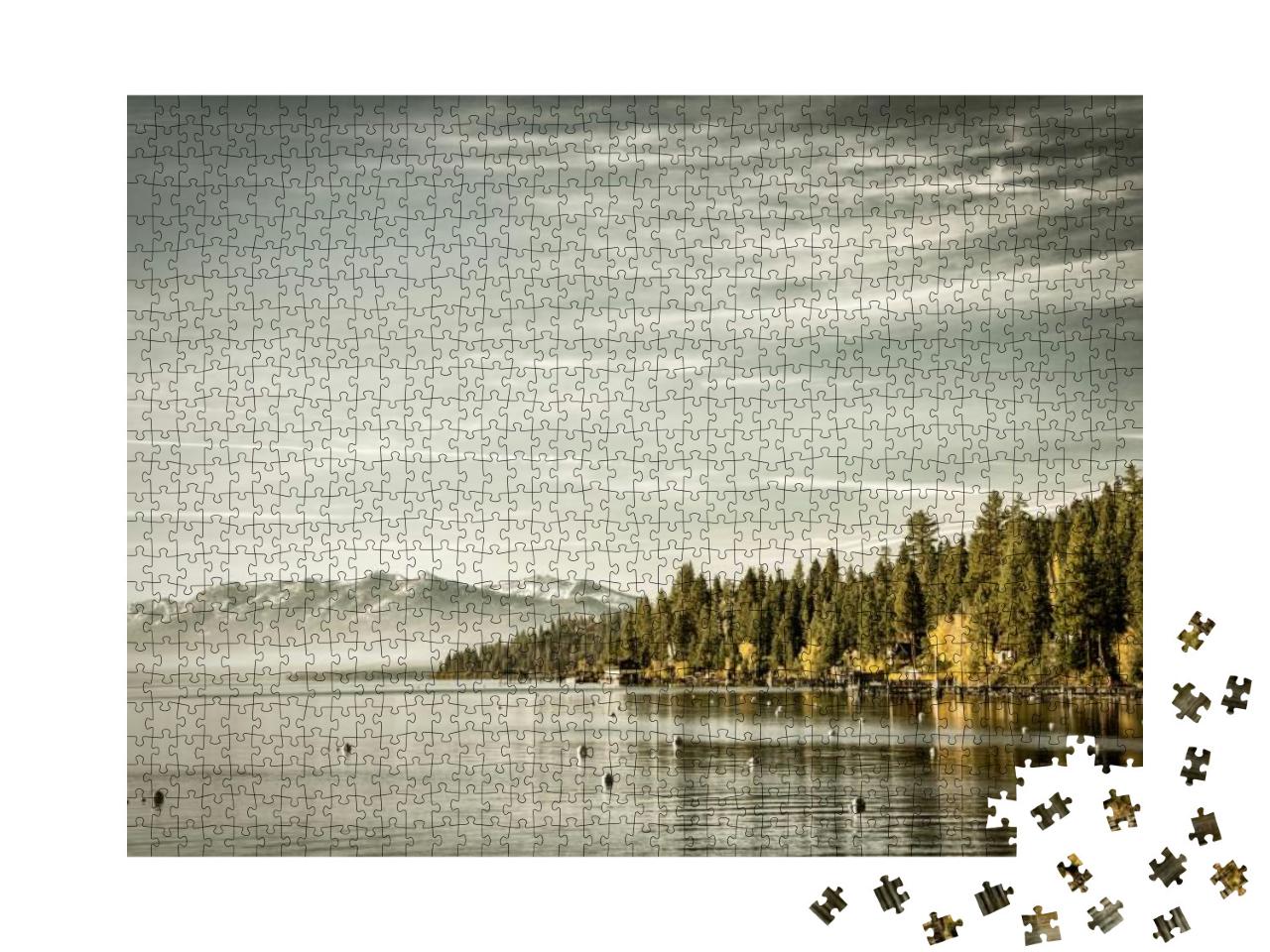 Trees in a Forest At the Lakeside, Carnelian Bay, Lake Ta... Jigsaw Puzzle with 1000 pieces