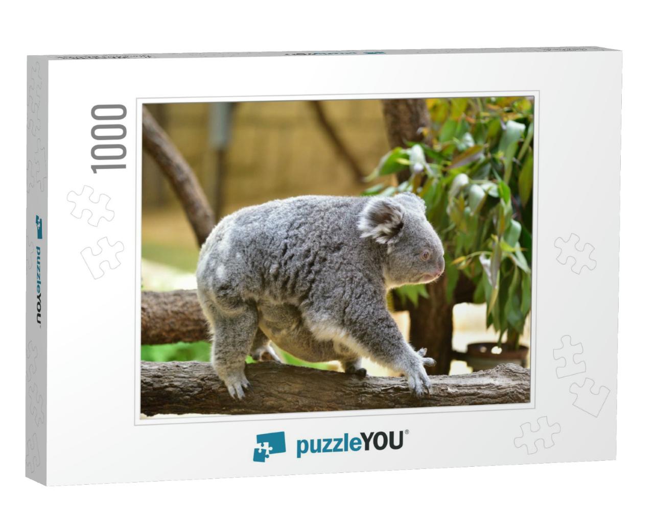 It is a Parent & Child of Koala... Jigsaw Puzzle with 1000 pieces