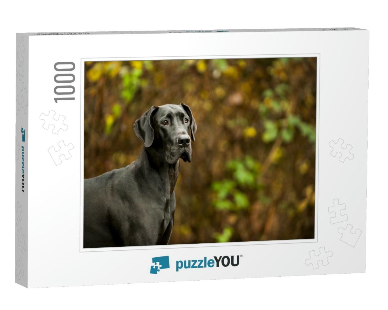 Great Dane Standing in Front of Vegetation... Jigsaw Puzzle with 1000 pieces