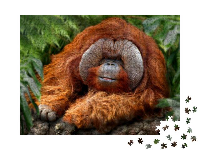 Orangutans, Orangutan, Orangutang, or Orang-Utang Old Ani... Jigsaw Puzzle with 1000 pieces